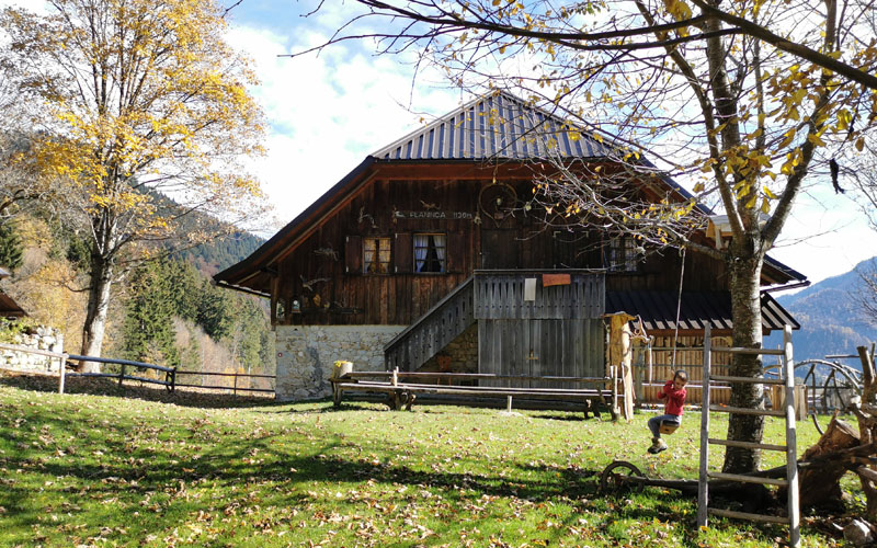 Planina Planinca, pohod iz doline Draga